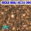 OGLE BUL-SC21  30560