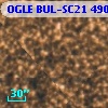 OGLE BUL-SC21 490906
