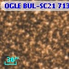 OGLE BUL-SC21 713559
