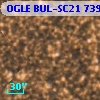 OGLE BUL-SC21 739861