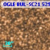 OGLE BUL-SC21 529903