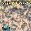 OGLE BUL-SC21 608602