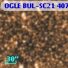 OGLE BUL-SC21 407310