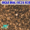 OGLE BUL-SC21 829902