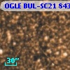 OGLE BUL-SC21 843292