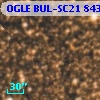 OGLE BUL-SC21 843301