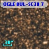 OGLE BUL-SC30      7