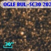 OGLE BUL-SC30 202220