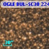 OGLE BUL-SC30 224416