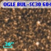 OGLE BUL-SC30 604350