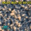 OGLE BUL-SC30 235788