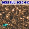 OGLE BUL-SC30 442990