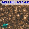 OGLE BUL-SC30 442995