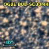 OGLE BUL-SC30 442946