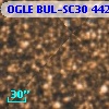 OGLE BUL-SC30 442964