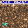 OGLE BUL-SC30 246575