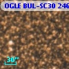 OGLE BUL-SC30 246639