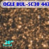 OGLE BUL-SC30 443016