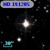 HD 181205