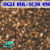 OGLE BUL-SC30 490005