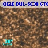 OGLE BUL-SC30 670519