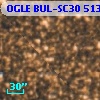 OGLE BUL-SC30 513481