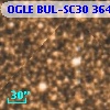 OGLE BUL-SC30 364162