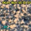 OGLE BUL-SC30 376109