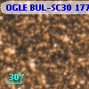OGLE BUL-SC30 177116