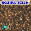 OGLE BUL-SC31      9
