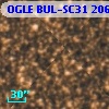 OGLE BUL-SC31 206704