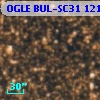 OGLE BUL-SC31  12194