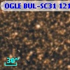 OGLE BUL-SC31  12173