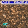 OGLE BUL-SC31 421499