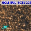 OGLE BUL-SC31 229833