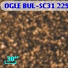 OGLE BUL-SC31 229834