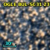 OGLE BUL-SC31  23150