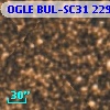OGLE BUL-SC31 229877