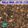 OGLE BUL-SC31  23174
