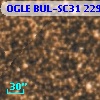 OGLE BUL-SC31 229887