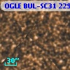 OGLE BUL-SC31 229844