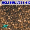 OGLE BUL-SC31 442640
