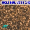 OGLE BUL-SC31 240484