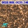 OGLE BUL-SC31 240558