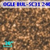OGLE BUL-SC31 240504