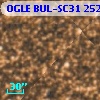 OGLE BUL-SC31 252740
