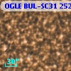 OGLE BUL-SC31 252758