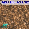 OGLE BUL-SC31 252807