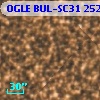 OGLE BUL-SC31 252771