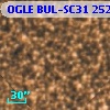OGLE BUL-SC31 252810